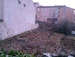 P240209_17.13_[01].jpg
