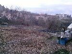 P240209_17.14.jpg