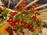 20201114_083638 - Copie.jpg