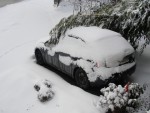 DSC09841.jpg