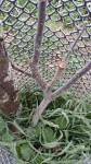 IMG_20210108_103829.jpg