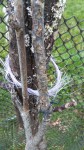 IMG_20210108_164817.jpg