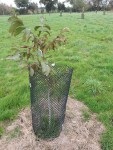 IMG-20201101-WA0002.jpg