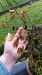 IMG_20210124_141127_439.jpg