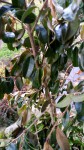 IMG_20210124_141137_028.jpg
