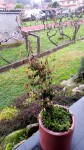 IMG_20210124_141112_469.jpg