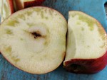 POMME_DxO.jpg
