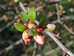 DSC06275.JPG