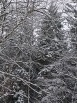 P1010243.JPG