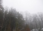 P1010280.JPG