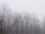 P1010283.JPG