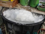 DSC09835.jpg