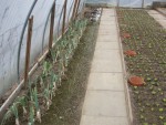 DSC09890.jpg