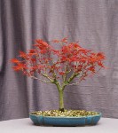 acerph05_180411a.jpg