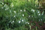 DSC03646.jpg