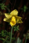 DSC03642.jpg