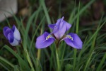 DSC03645.jpg