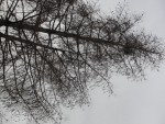 DSC09893.jpg