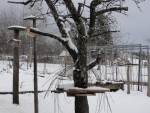 DSC09865.jpg