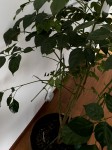 IMG_5943.jpg