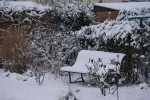DSC03650.jpg