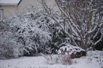 DSC03649.jpg