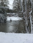 IMG_9421.JPG
