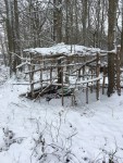 IMG_9422.JPG