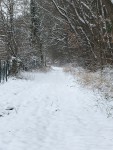 IMG_9424.JPG
