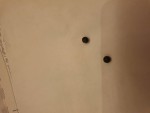 Demandes identification Graine