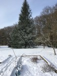 IMG_9445.JPG