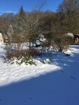 IMG_9431.JPG