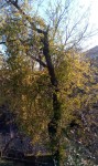 IMG_20210212_094622_059.jpg