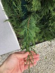 IMG_6298.jpeg