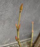 acer-teg_210216a.jpg