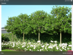 8940F532-AF3C-4F0F-A95A-DC847518FA3B.png
