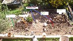 DSC02421.JPG