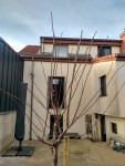 IMG_20210220_171055_HDR.jpg