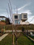 IMG_20210220_171033_HDR.jpg