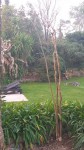20210223_073839.jpg