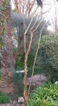 20210225_174726.jpg