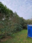 20210307_095353-min.jpg