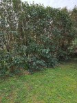 20210307_095428-min.jpg