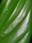 20210307_190107-min-compressed.jpg