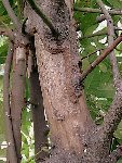Photo014.jpg