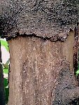 Photo015.jpg