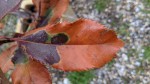 IMG_20210316_084024.jpg