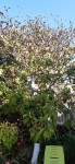 20210326_095018.jpg