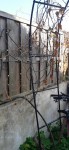 20210326_095100.jpg