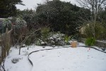 DSC_0227_LI.jpg